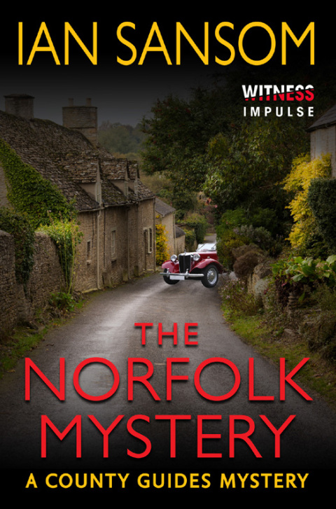 Cover image for book The Norfolk Mystery