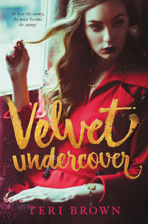 Cover image for book Velvet Undercover