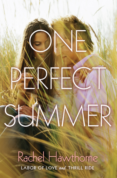 Cover image for book One Perfect Summer