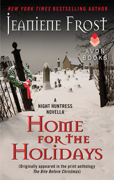 Cover image for book Home for the Holidays