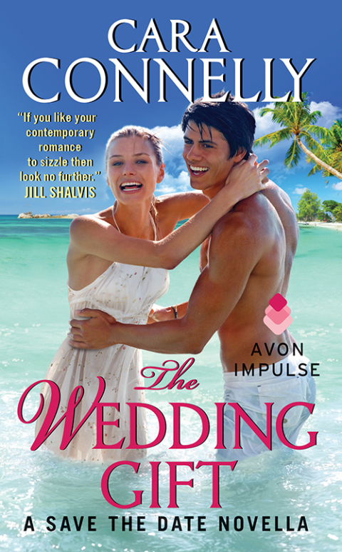 Cover image for book The Wedding Gift