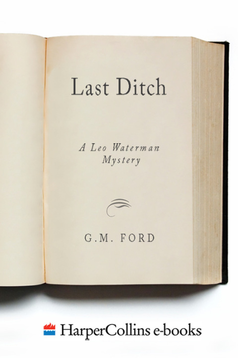Cover image for book Last Ditch