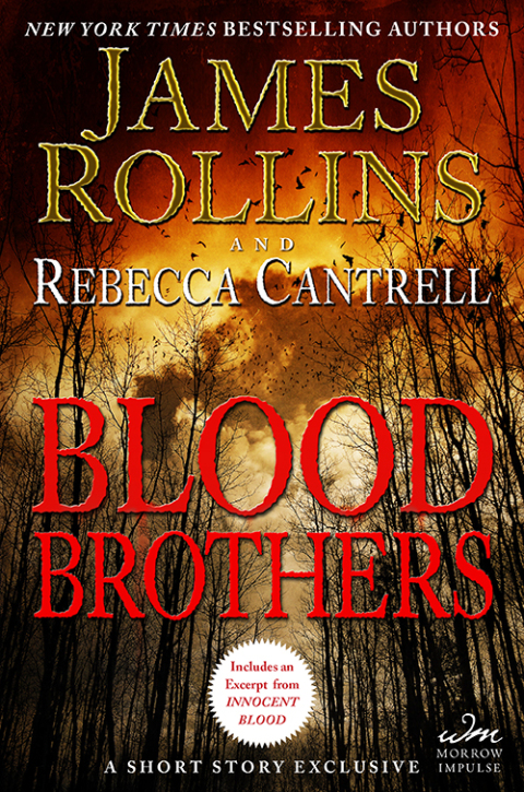 Cover image for book Blood Brothers