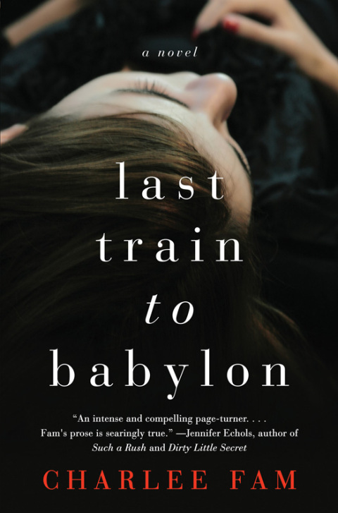 Cover image for book Last Train to Babylon