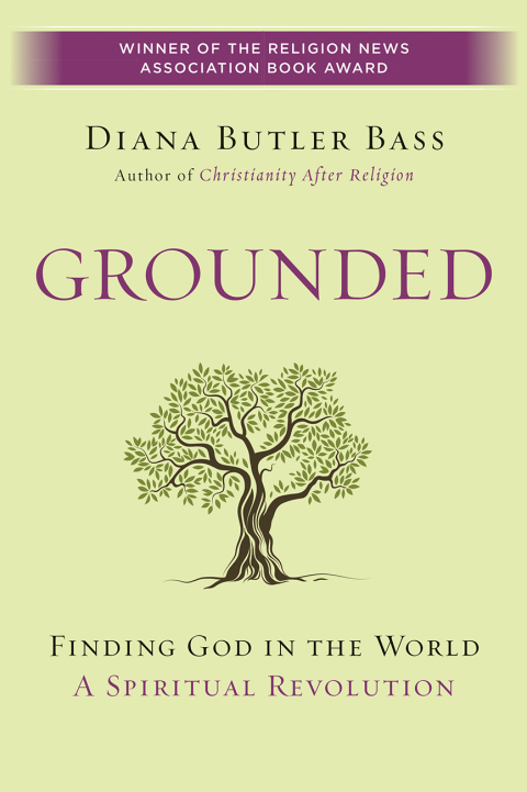 Cover image for book Grounded
