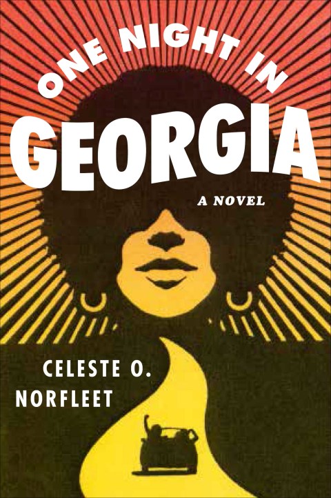 Cover image for book One Night in Georgia