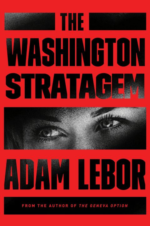 Cover image for book The Washington Stratagem