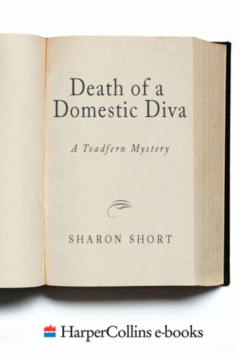 Cover image for book Death of a Domestic Diva