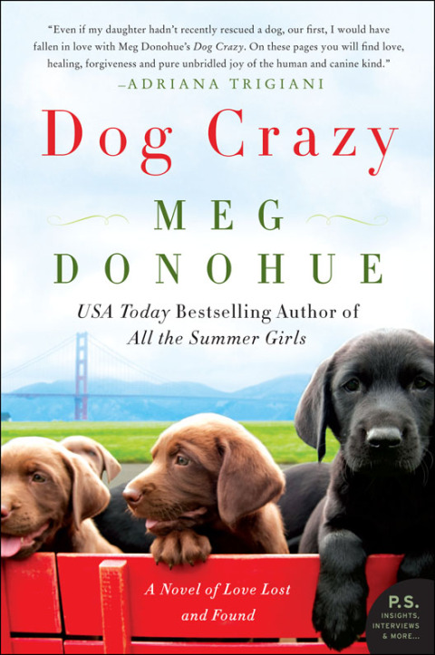 Cover image for book Dog Crazy