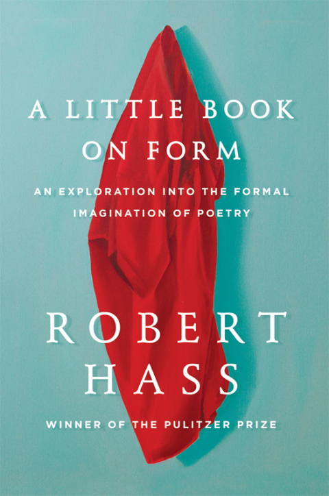Cover image for book A Little Book on Form