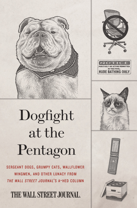 Cover image for book Dogfight at the Pentagon