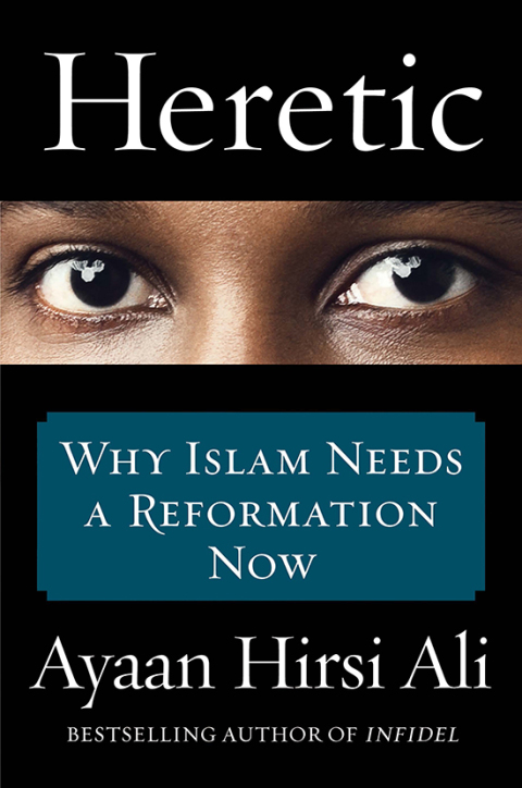 Cover image for book Heretic