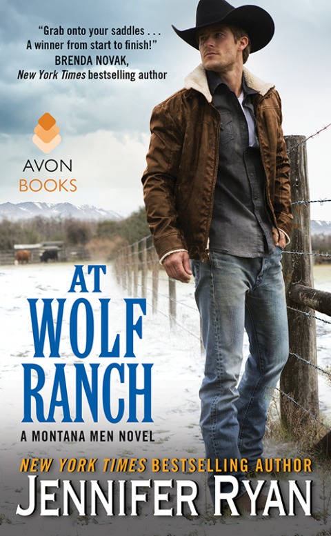 Cover image for book At Wolf Ranch