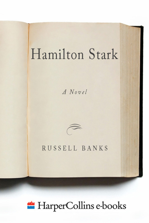 Cover image for book Hamilton Stark