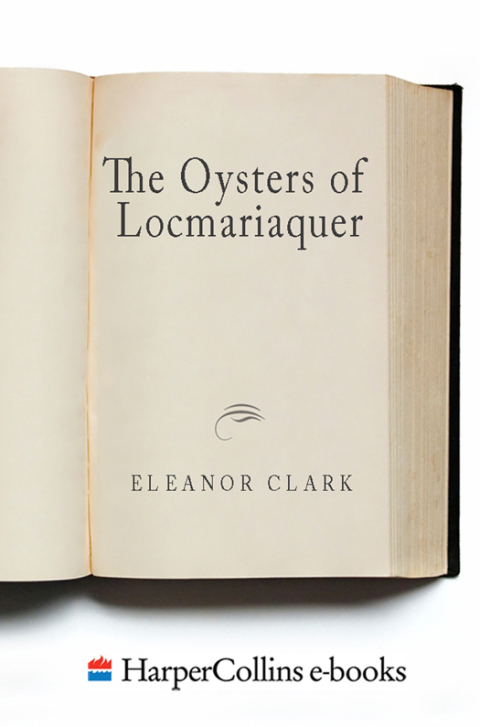 Cover image for book The Oysters of Locmariaquer