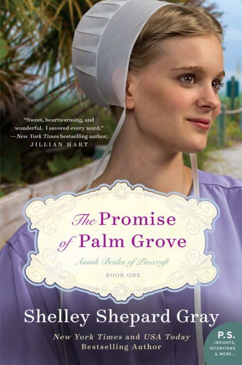 Cover image for book The Promise of Palm Grove
