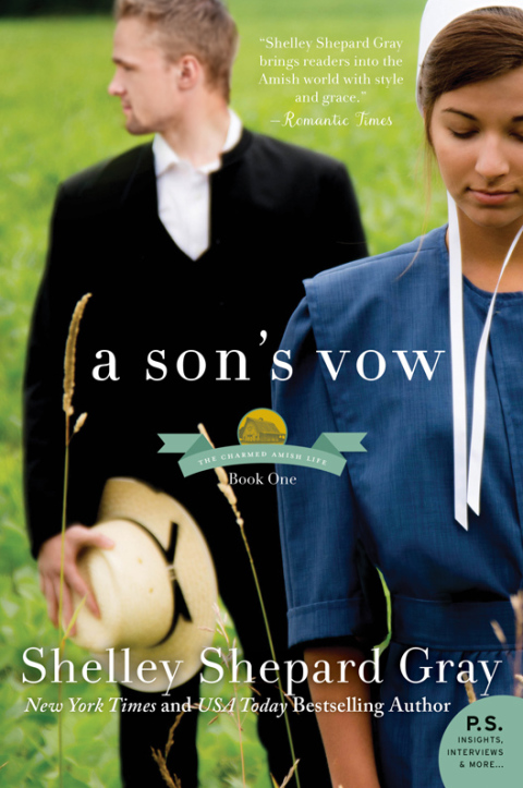 Cover image for book A Son's Vow