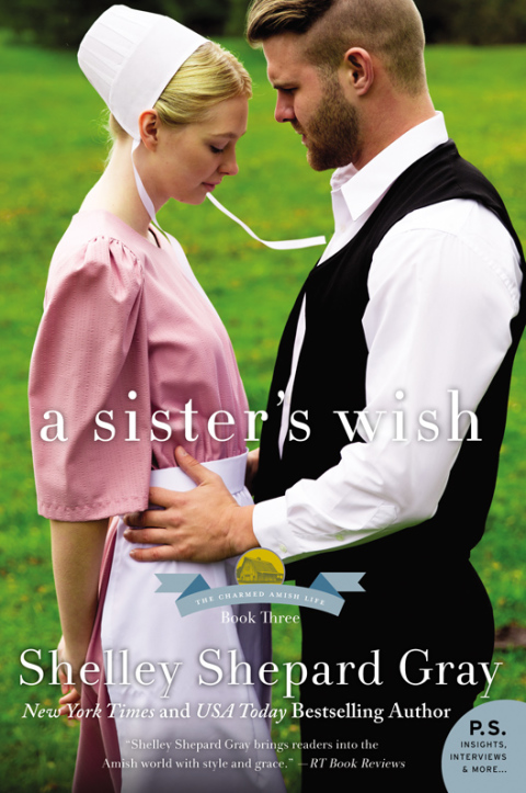 Cover image for book A Sister's Wish