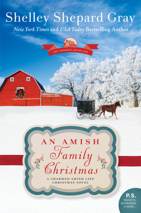 Cover image for book An Amish Family Christmas