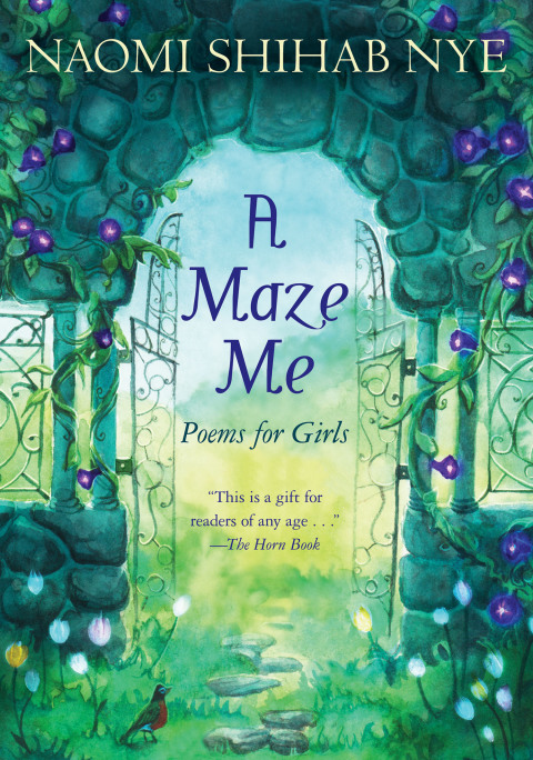 Cover image for book A Maze Me