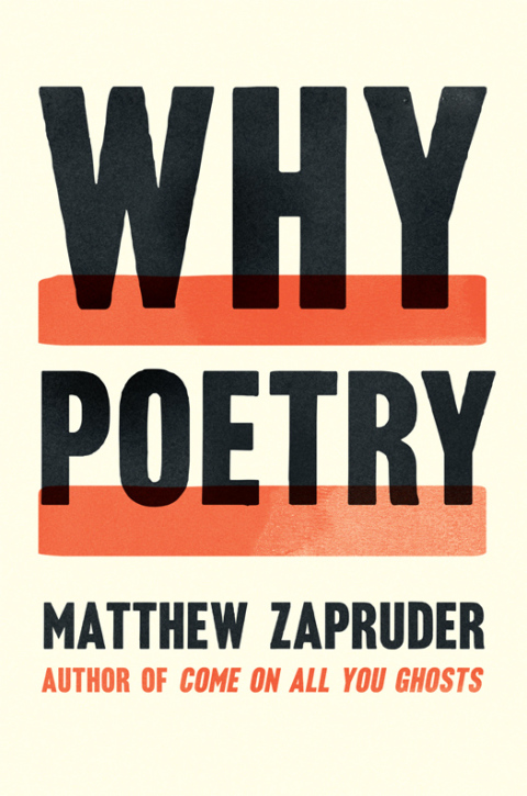 Cover image for book Why Poetry