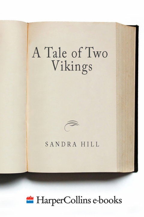 Cover image for book A Tale of Two Vikings