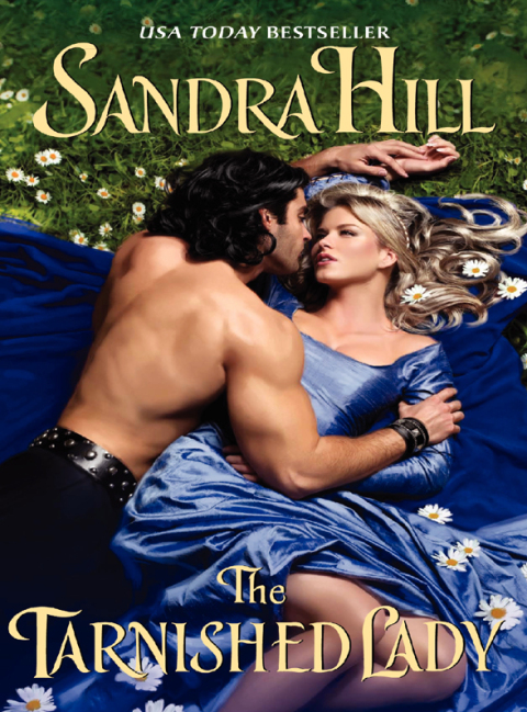 Cover image for book The Tarnished Lady