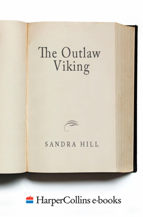 Cover image for book The Outlaw Viking