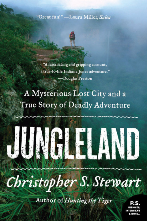 Cover image for book Jungleland