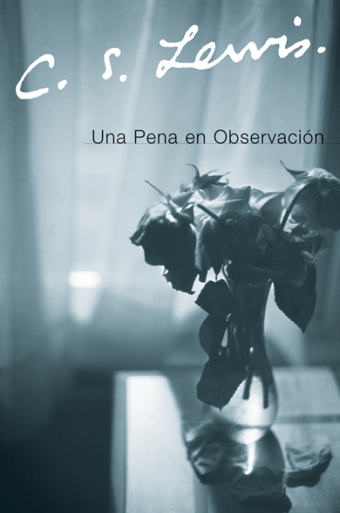 Cover image for book Una Pena en Observacion