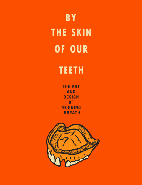Cover image for book By the Skin of Our Teeth