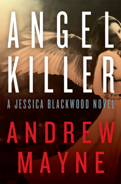 Cover image for book Angel Killer