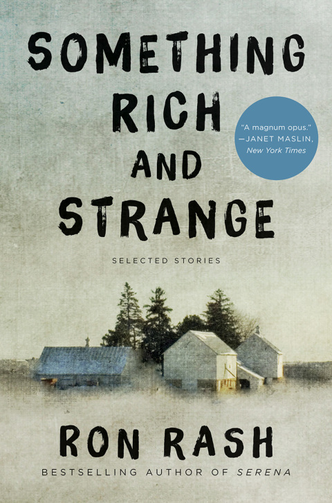 Cover image for book Something Rich and Strange