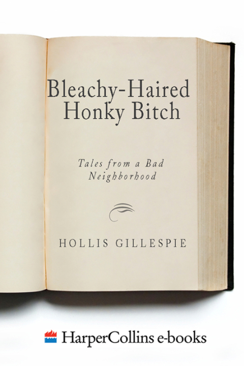 Cover image for book Bleachy-Haired Honky Bitch