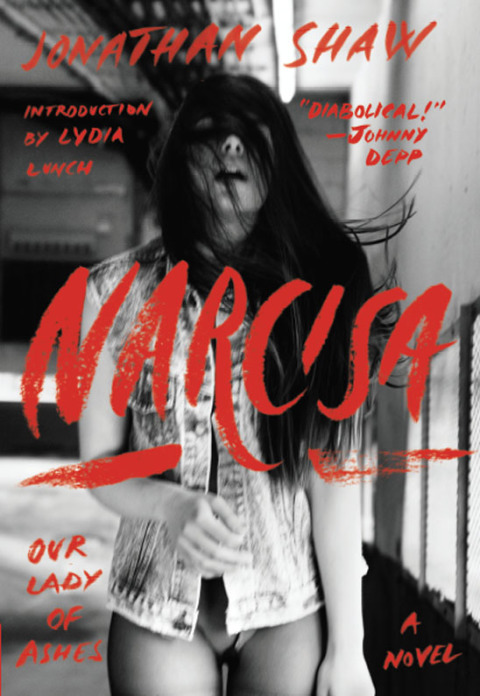 Cover image for book Narcisa