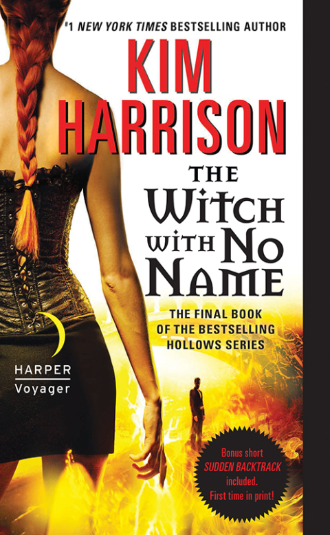 Cover image for book The Witch with No Name