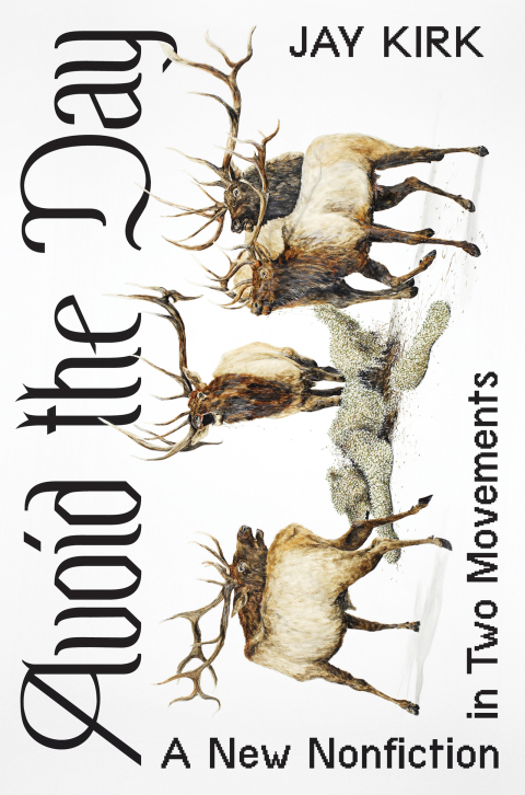 Cover image for book Avoid the Day