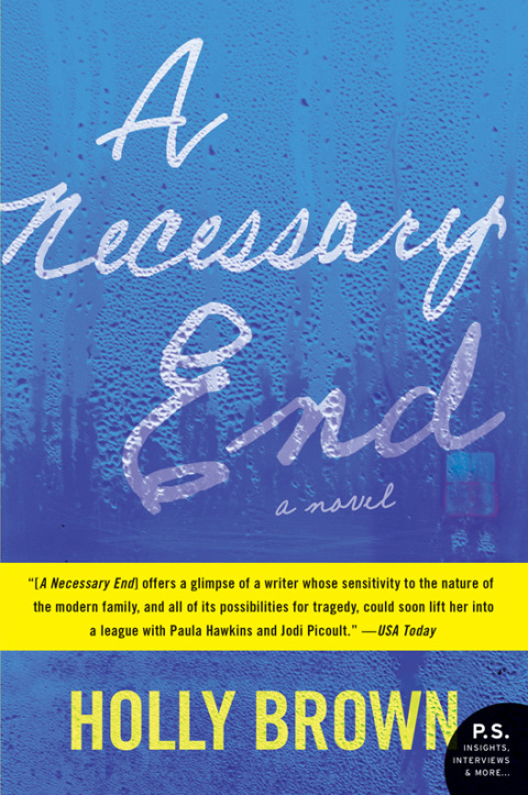 Cover image for book A Necessary End