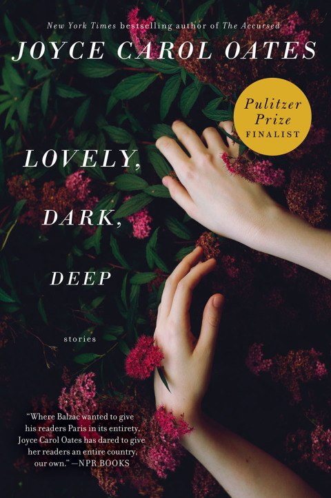 Cover image for book Lovely, Dark, Deep