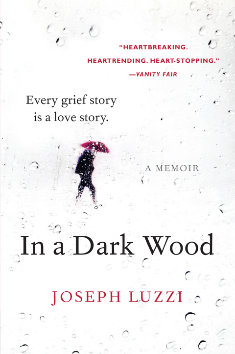 Cover image for book In a Dark Wood