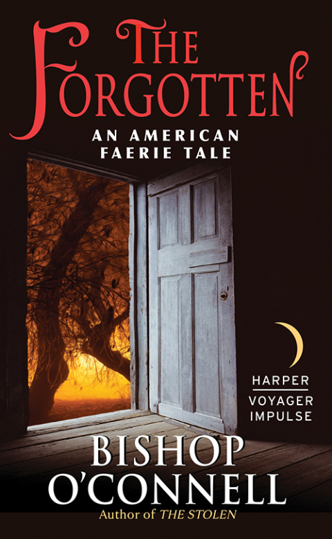 Cover image for book The Forgotten