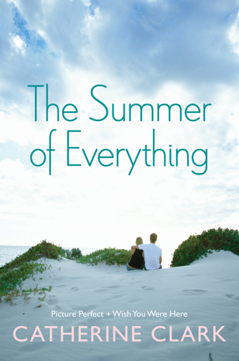 Cover image for book The Summer of Everything