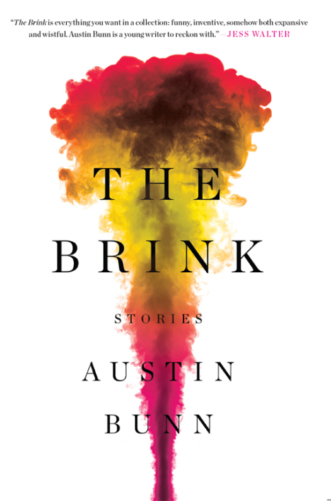 Cover image for book The Brink