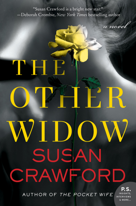 Cover image for book The Other Widow