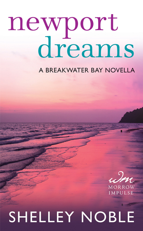 Cover image for book Newport Dreams