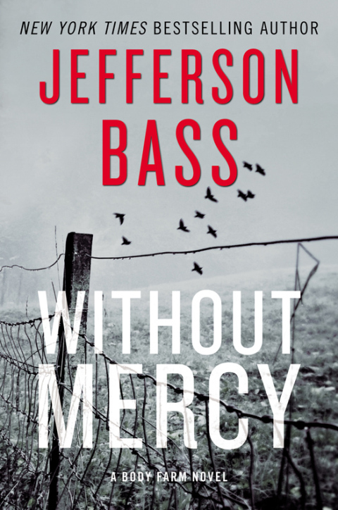 Cover image for book Without Mercy