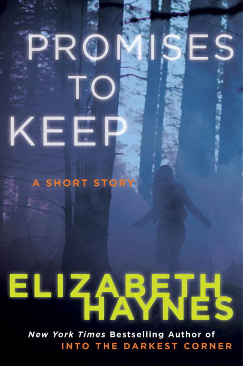 Cover image for book Promises to Keep