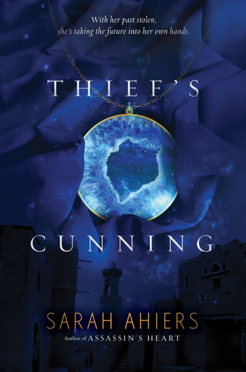 Cover image for book Thief's Cunning