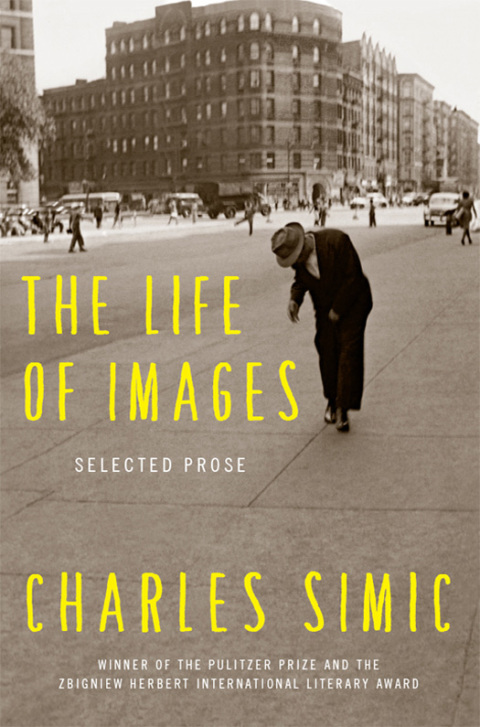 Cover image for book The Life of Images