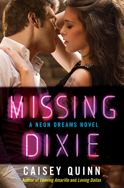 Cover image for book Missing Dixie
